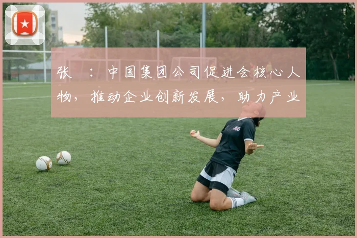 张彧：中国集团公司促进会核心人物，推动企业创新发展，助力产业升级，引领行业未来。